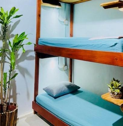 Hostal Holbox Esterno foto